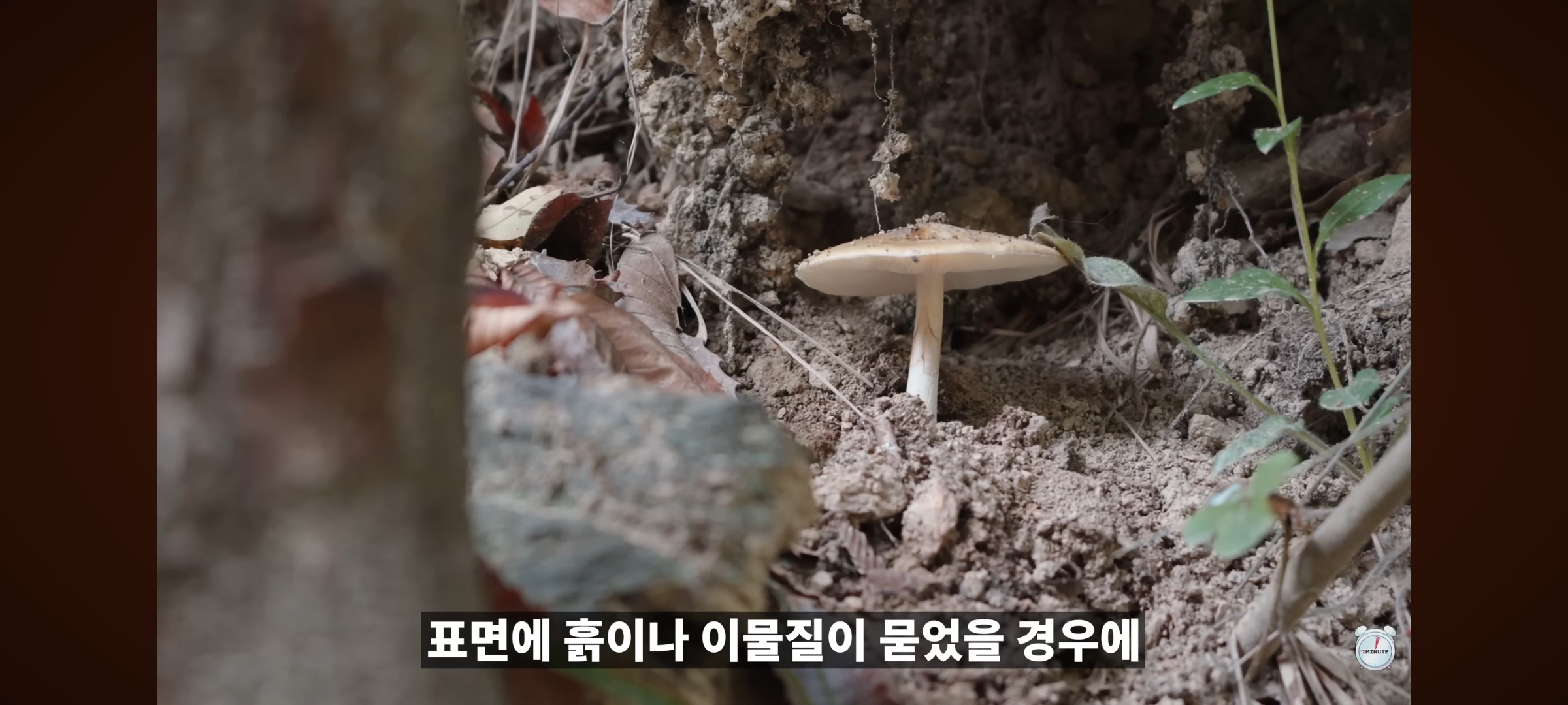 엥 닭 안씻고 조리함?? 위생 ;.jpg | 인스티즈