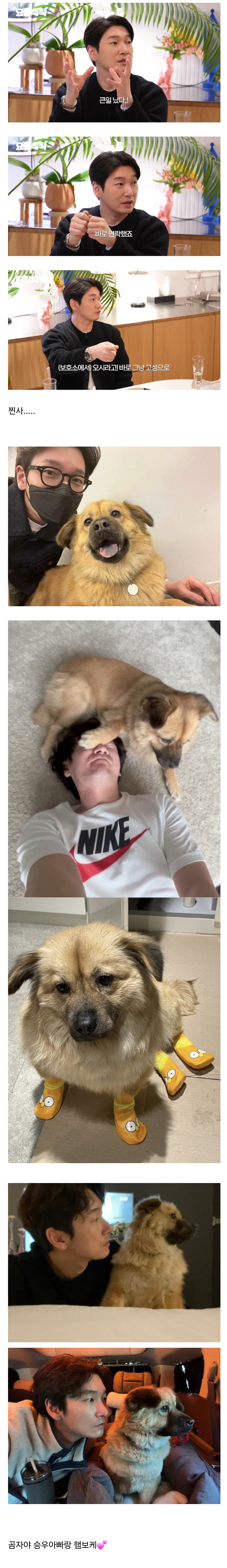 자식자랑하다가 인스타 비계 고백하는 연예인 | 인스티즈