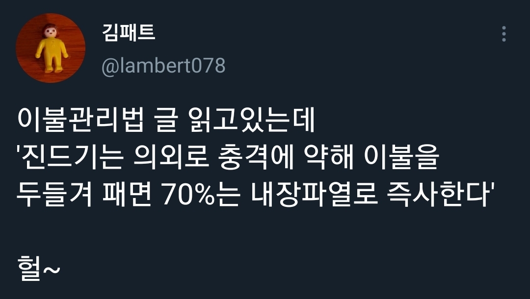 이불 진드기는 충격에 약해 이불을 두들겨 패면 70%는 즉사한다 | 인스티즈