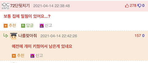 집에서 쥐 나왔는데 햄스터 같기도 하고..(+후기) | 인스티즈