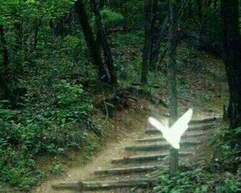 행운돈 이미지