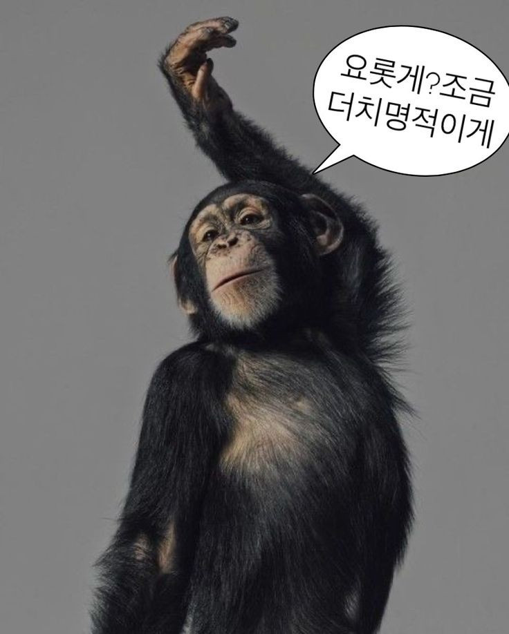 (주)세* 이미지