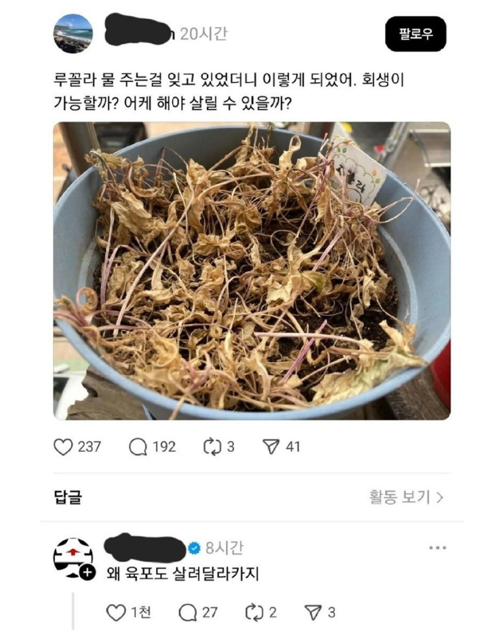 야 헤이즐넛아메리카노는 뭔가 달라..? 왜이렇게 심장이 뛰지..? | 인스티즈