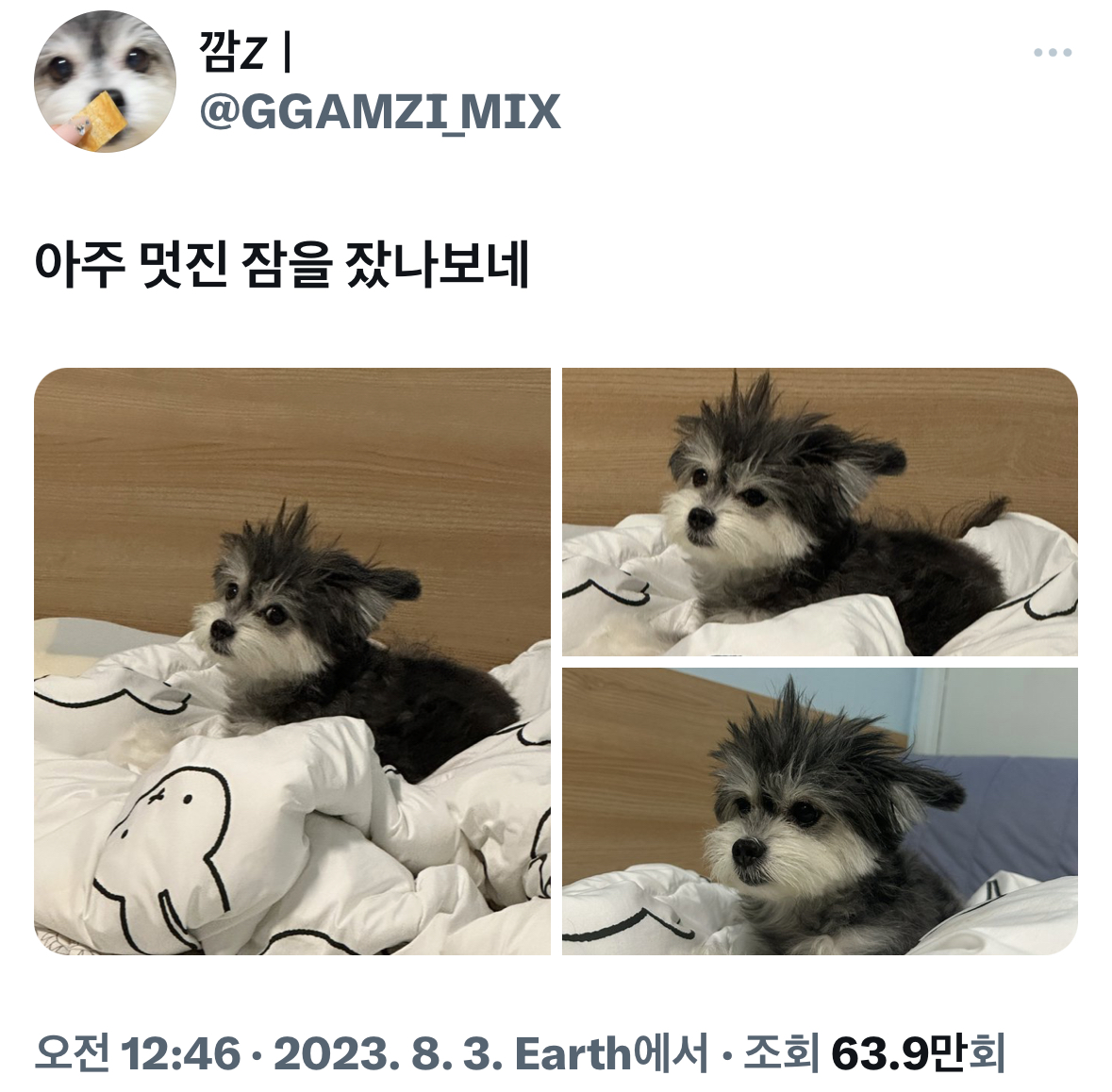 표정뭐야 누워있는사람 첨보나.twt | 인스티즈