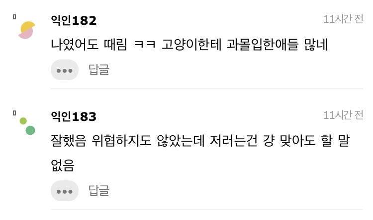 길고양이 한대 때렸는데 내가 잘못한거냐 | 인스티즈