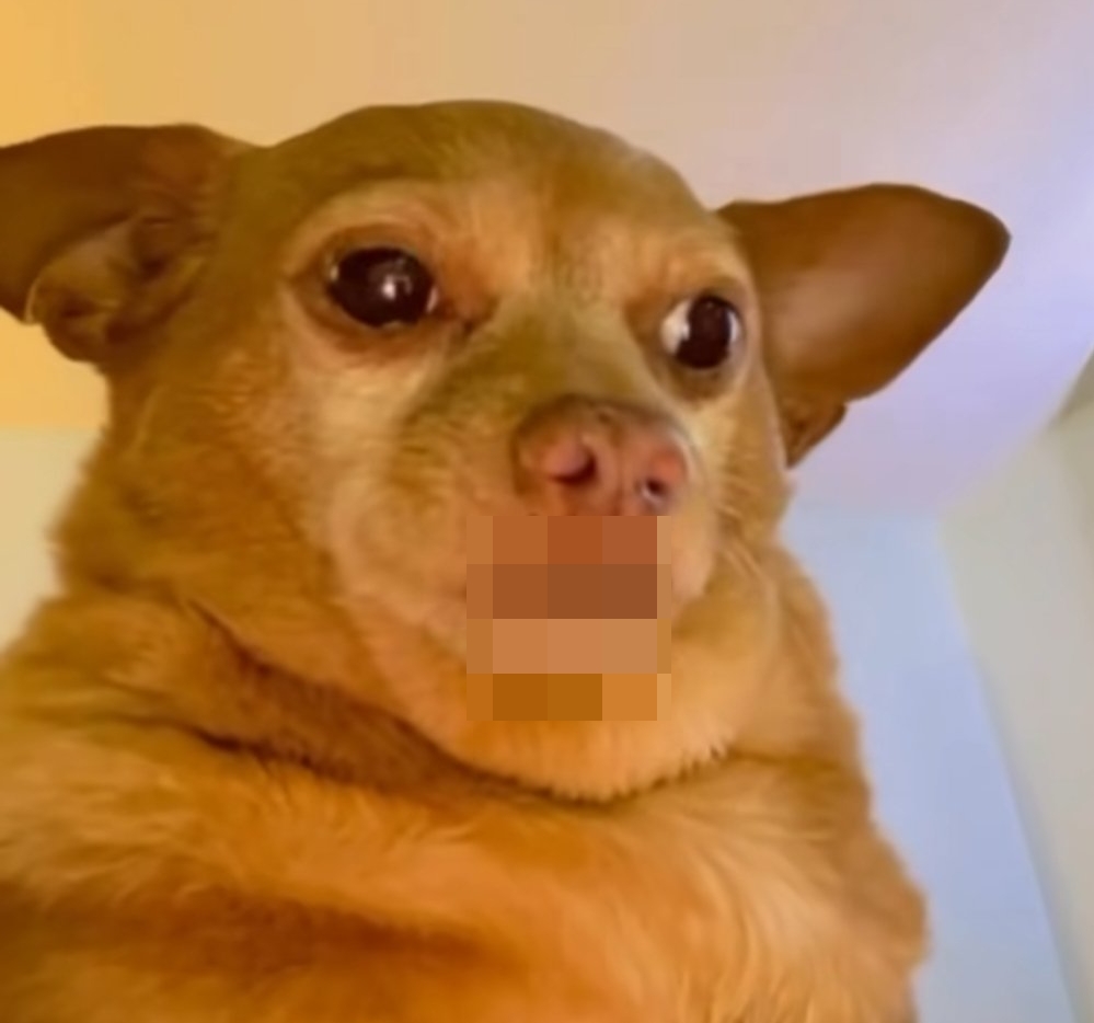 이 행사에 초청된 연예인의 관계자는 "좋은 행사인 줄 알고 참석했다 욕만 먹게 생겼다”고 토로했다 | 인스티즈