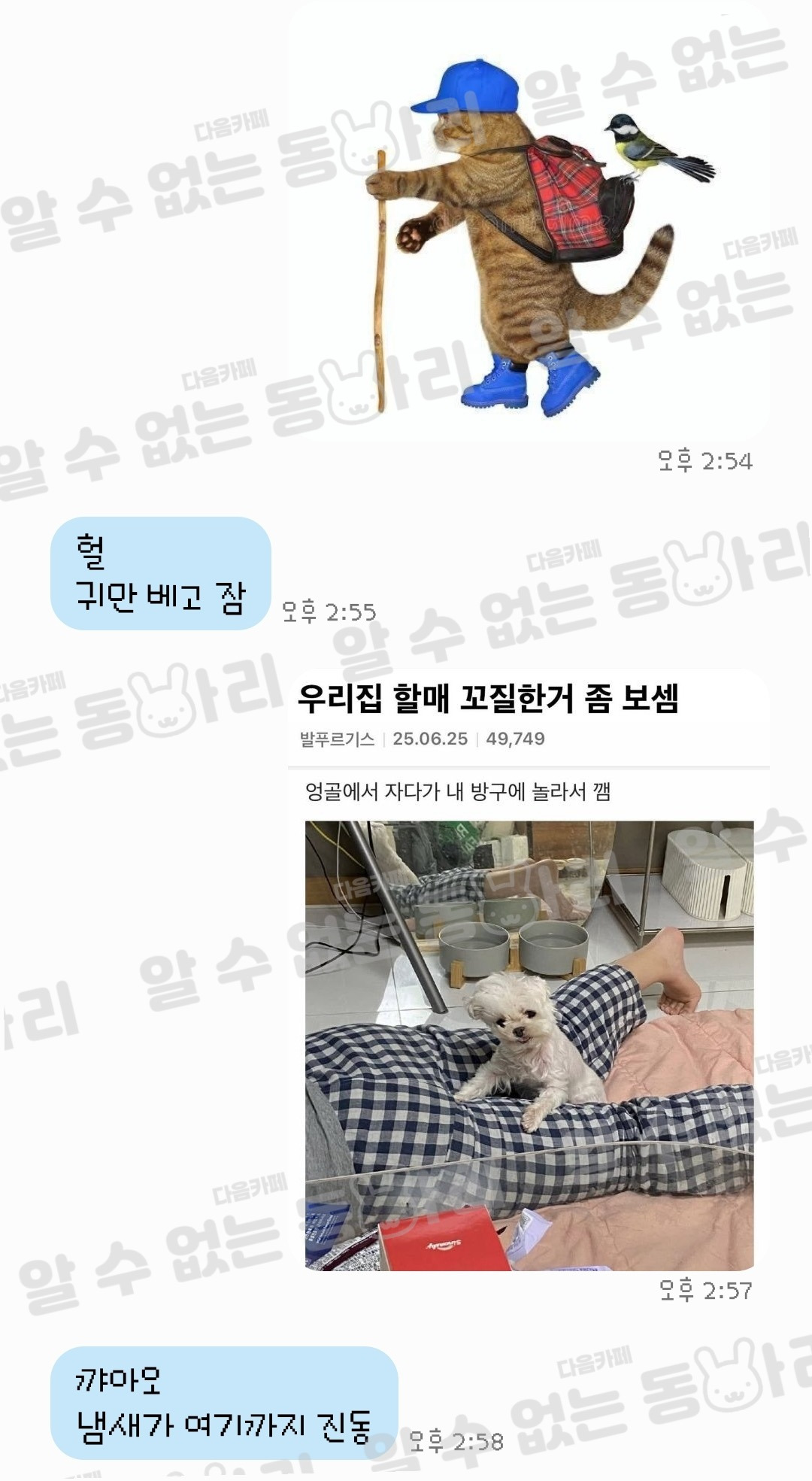 이상한짤 보냈을때 울엄마 답장 모음 | 인스티즈