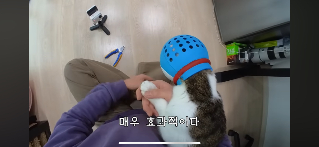 [hahaha] 도라에몽이 된 무(feat.무라에몽) | 인스티즈