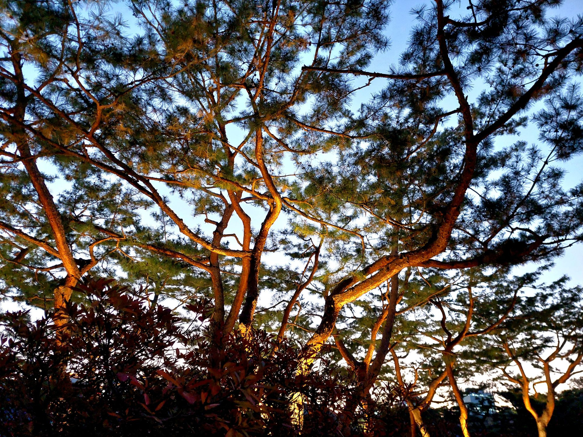 덕수궁가라 제발 | 인스티즈