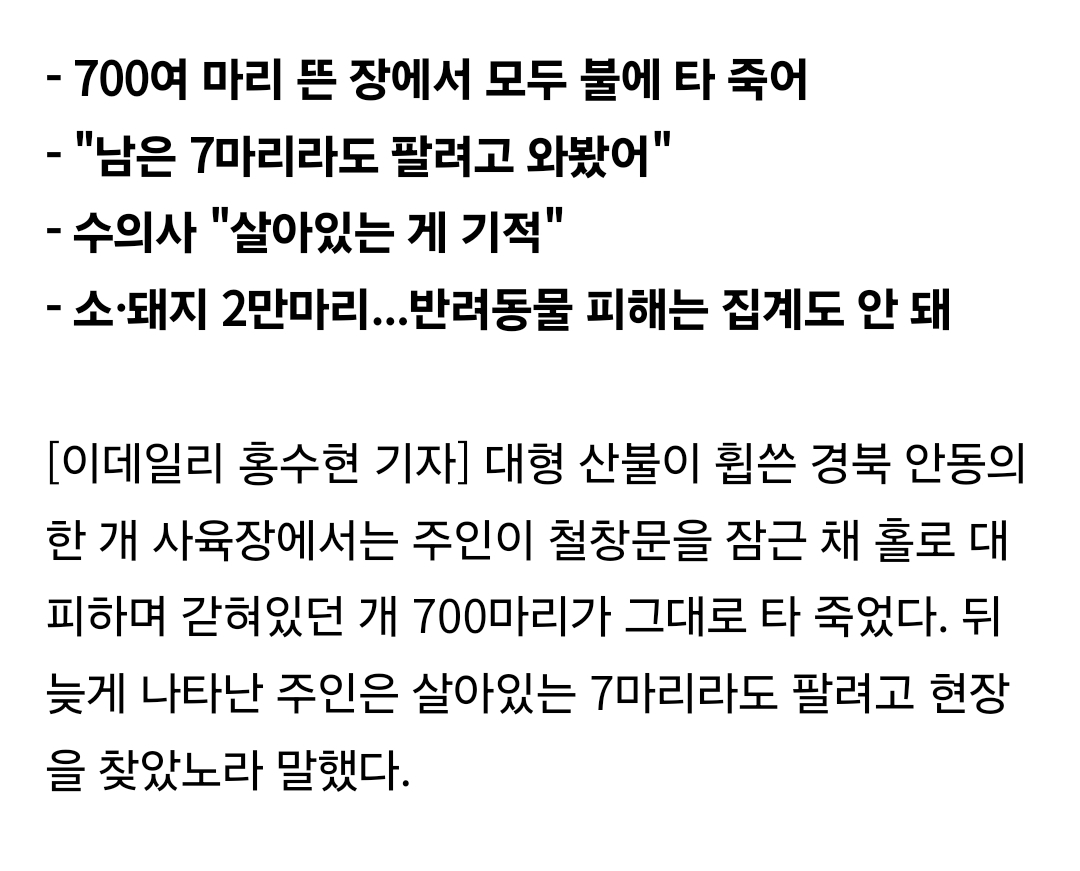 개 700마리 가두고 '홀로 대피한' 주인 나타나 한 말 | 인스티즈