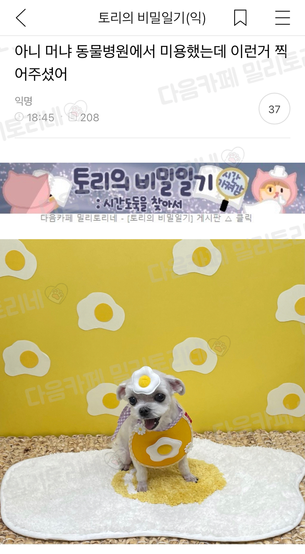 [냥귀염] 아니 머냐 동물병원에서 미용했는데 이런거 찍어주셨어 | 인스티즈