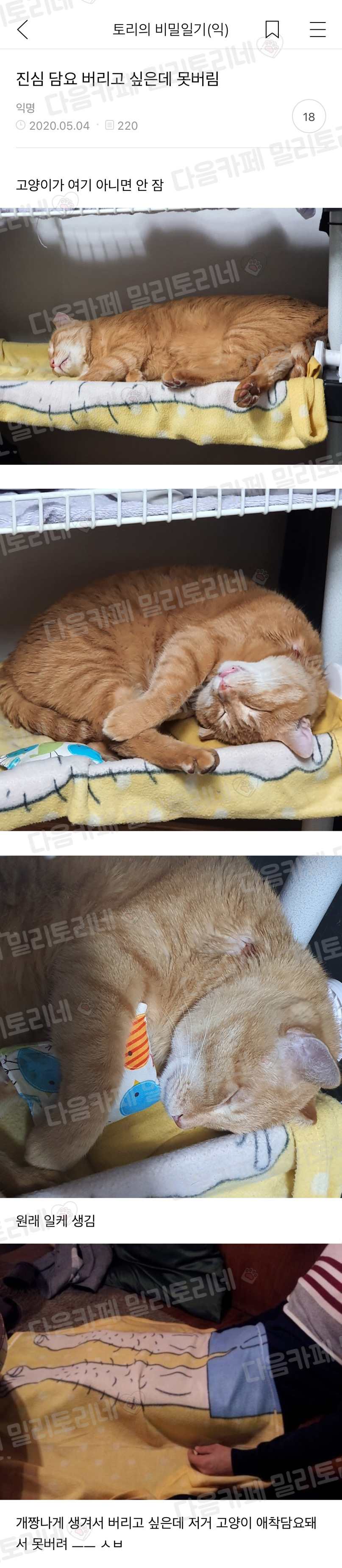 진심 담요 버리고 싶은데 못버림 | 인스티즈