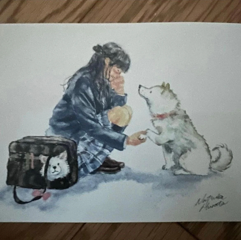 뉴진스 혜인이 일본 가서 사온 민희진 선물ㅋㅋㅋㅋㅋ | 인스티즈