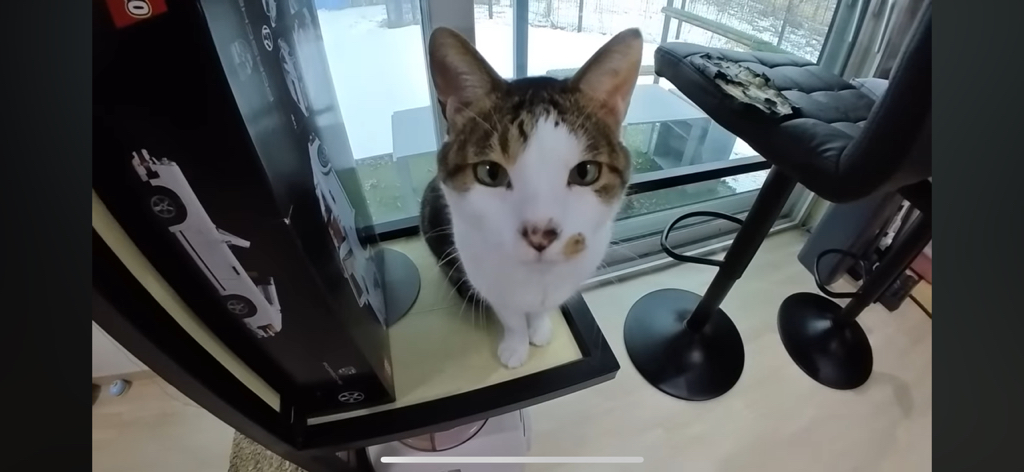 [hahaha] 도라에몽이 된 무(feat.무라에몽) | 인스티즈