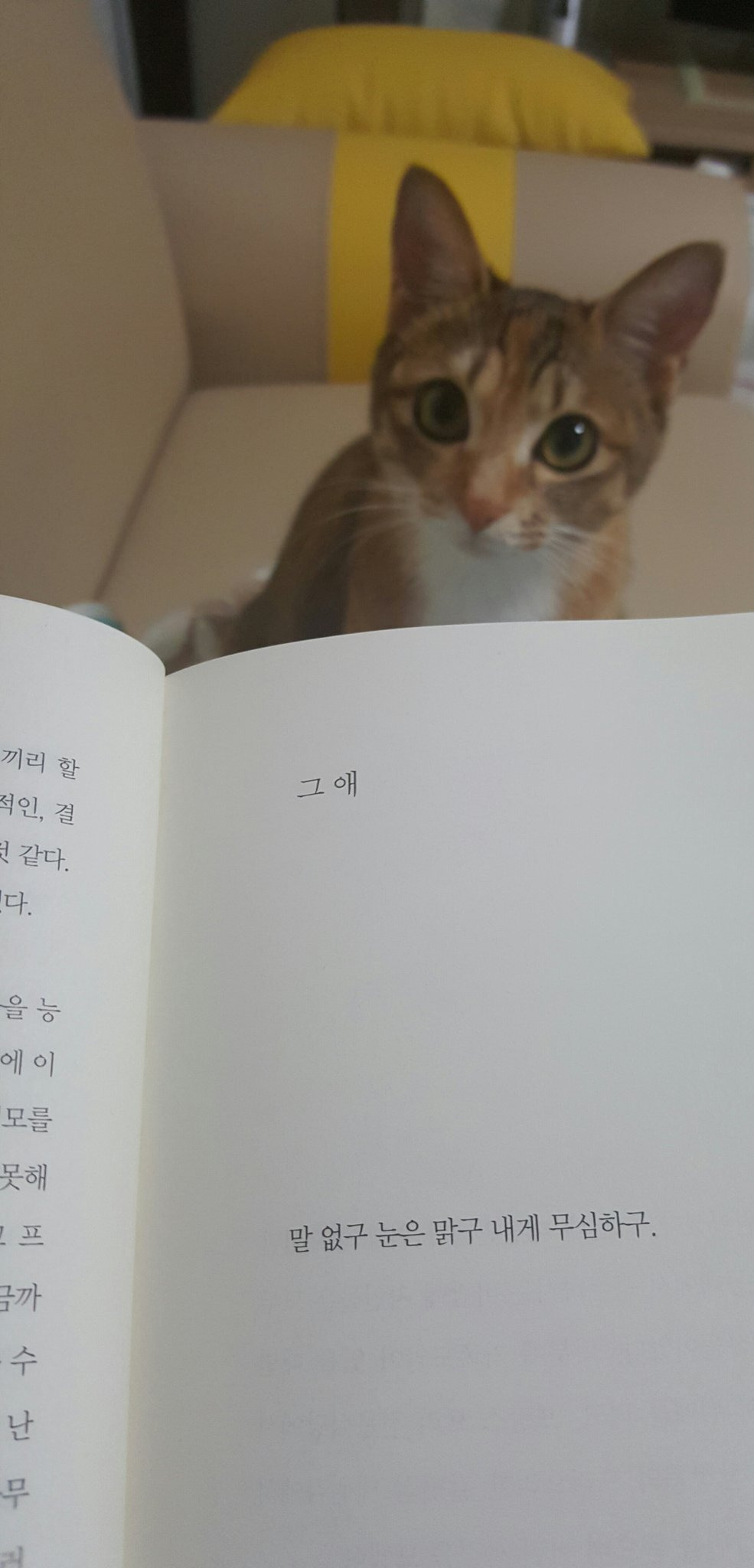 그 애 | 인스티즈