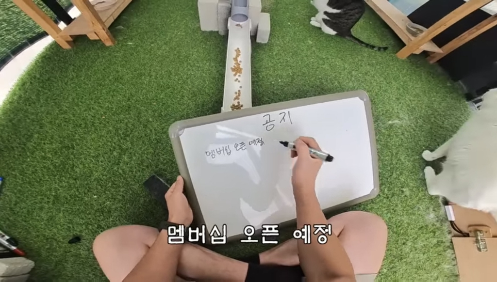 멤버십 오픈 예정이라는 유튜버 haha ha | 인스티즈