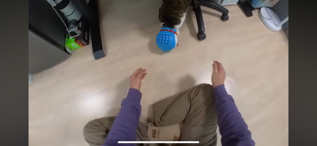 [hahaha] 도라에몽이 된 무(feat.무라에몽) | 인스티즈