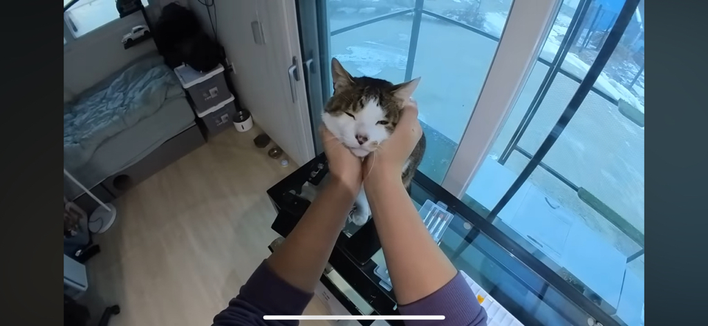 [hahaha] 도라에몽이 된 무(feat.무라에몽) | 인스티즈