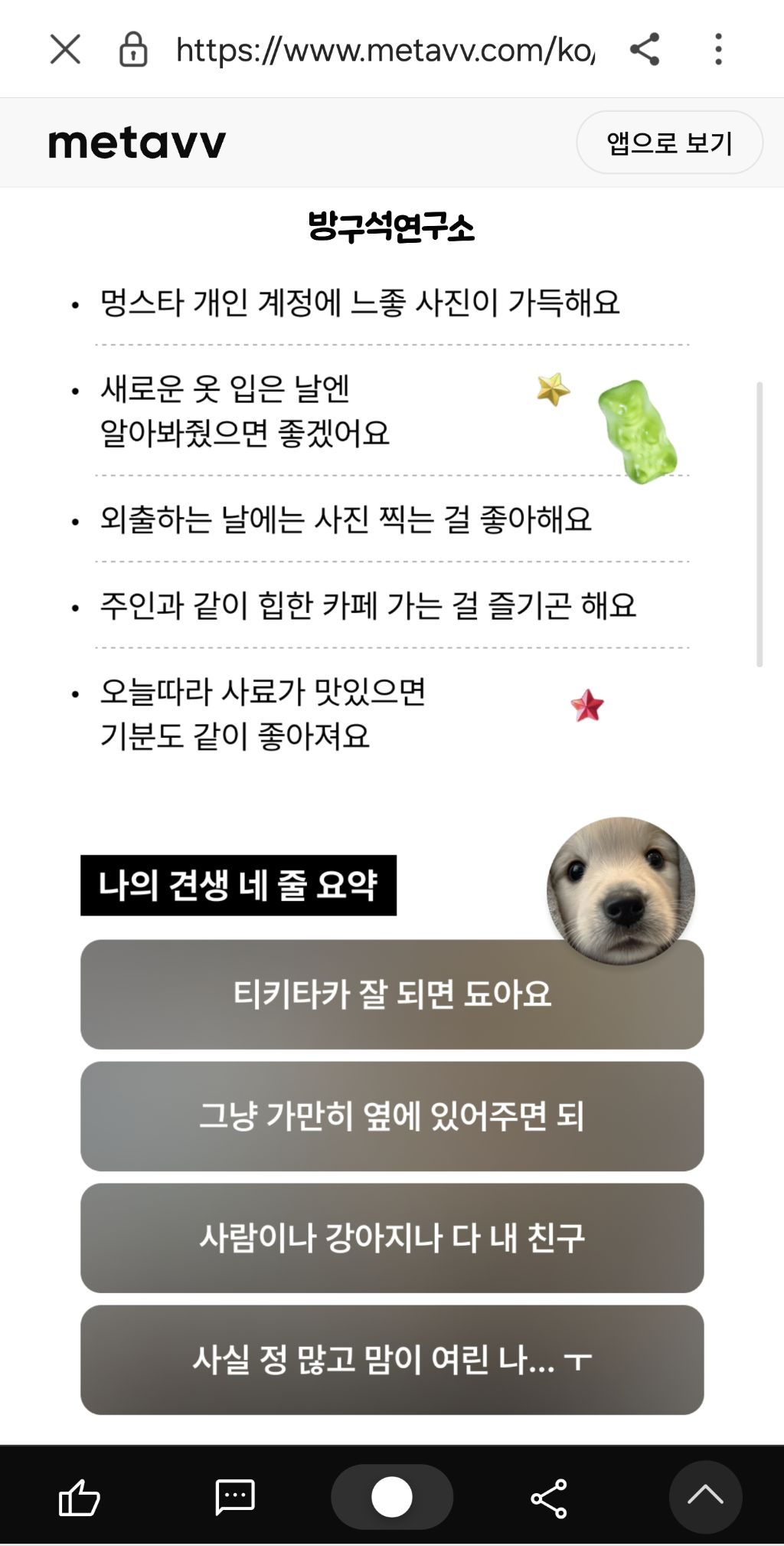 귀여움 과한 멍뭉미 테스트 | 인스티즈