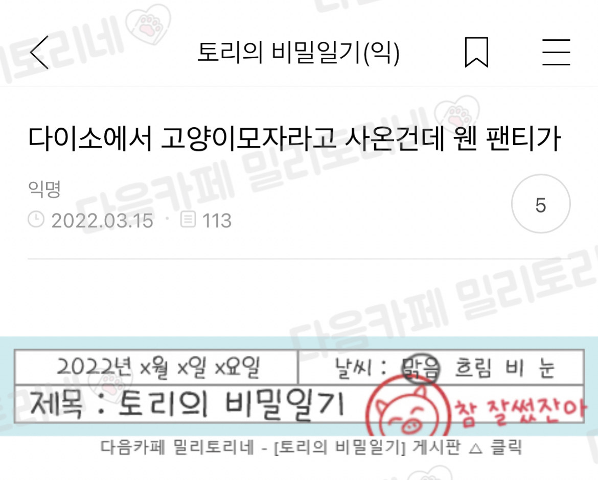 [냥귀염] 다이소에서 고양이모자라고 사온건데 웬 팬티가 | 인스티즈