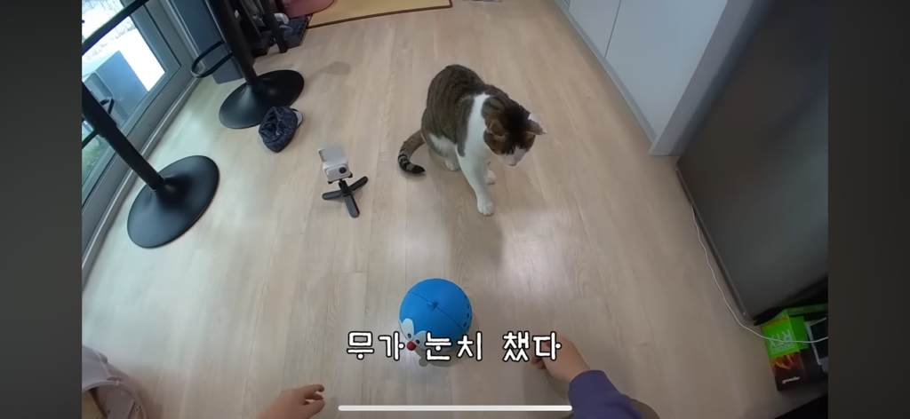 [hahaha] 도라에몽이 된 무(feat.무라에몽) | 인스티즈