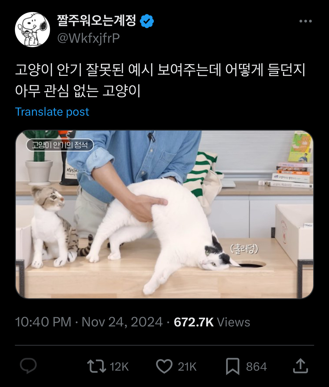 중안부가 저렇게 기니까 사랑 못받은거임.twt | 인스티즈