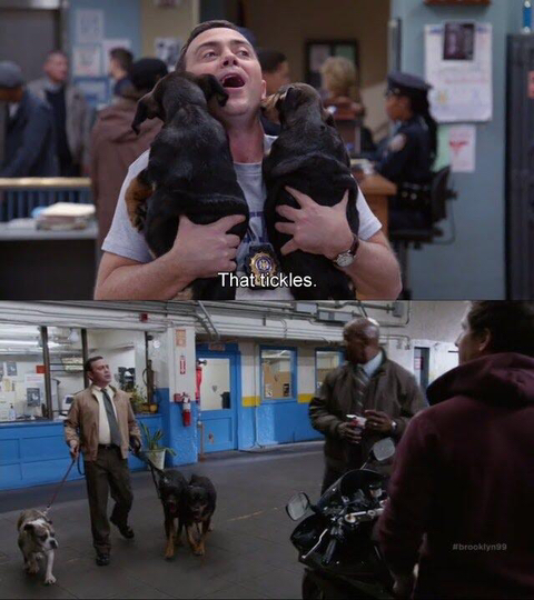 브루클린 나인-나인의 소소하고 재밌는 포인트들 | 인스티즈