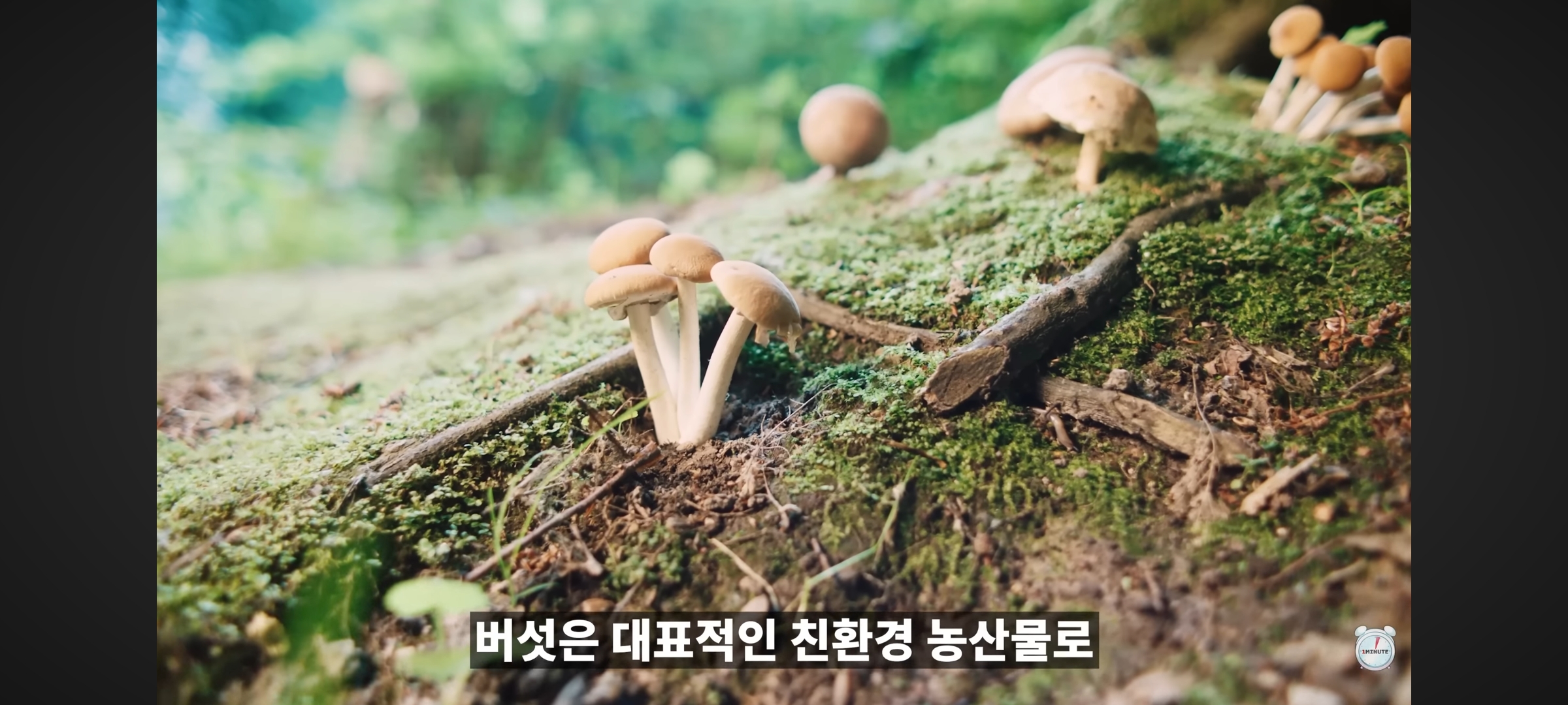 엥 닭 안씻고 조리함?? 위생 ;.jpg | 인스티즈