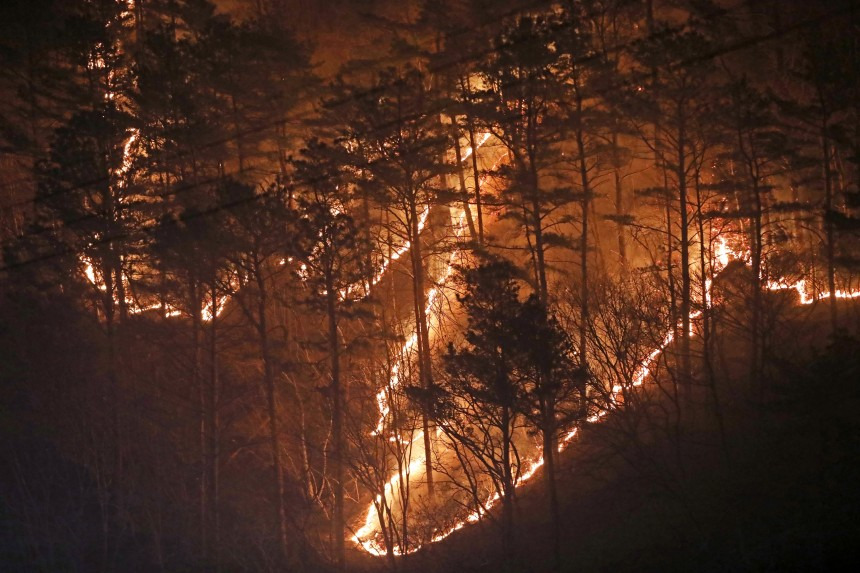 "그 불길에다 애를 밀어 넣나” 산불 진화 공무원 유족 오열 | 인스티즈