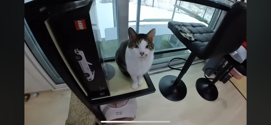 [hahaha] 도라에몽이 된 무(feat.무라에몽) | 인스티즈