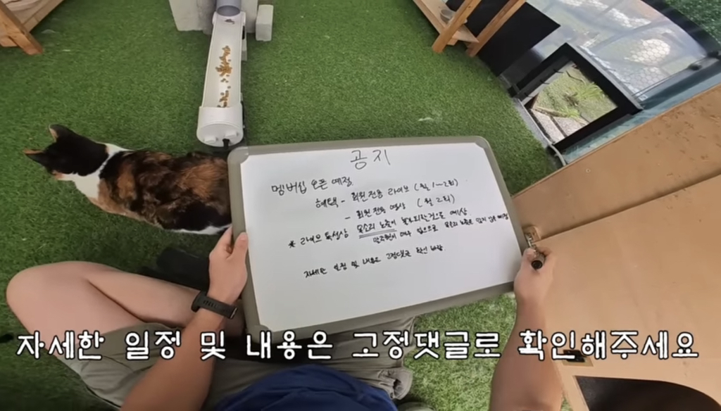 멤버십 오픈 예정이라는 유튜버 haha ha | 인스티즈