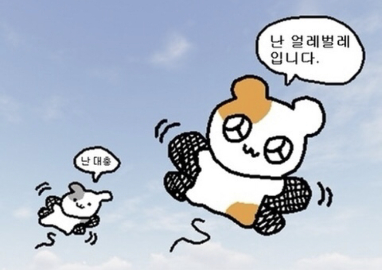 잇시 이미지