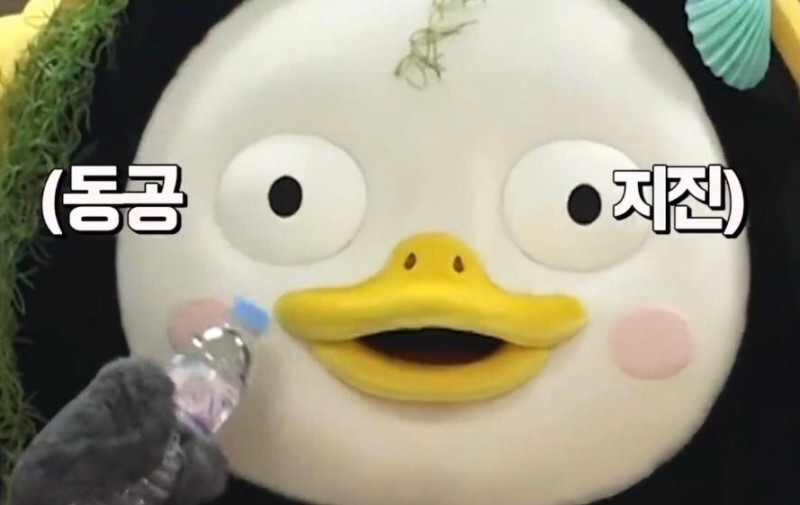 남장탈코여성과 비혼여성, 위장결혼하다 [방한림전] 2 | 인스티즈