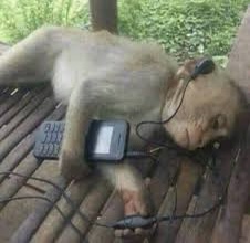 트위터 밈 어원 설명해주는 글 | 인스티즈