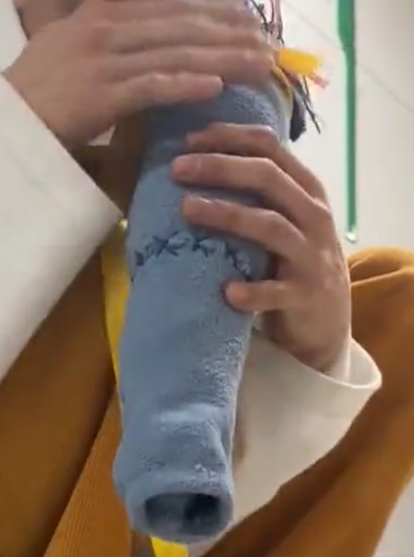 양말사 이미지