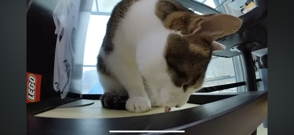 [hahaha] 도라에몽이 된 무(feat.무라에몽) | 인스티즈