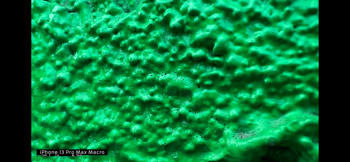 아이폰13프로 접사모드 ㄷㄷㄷ | 인스티즈