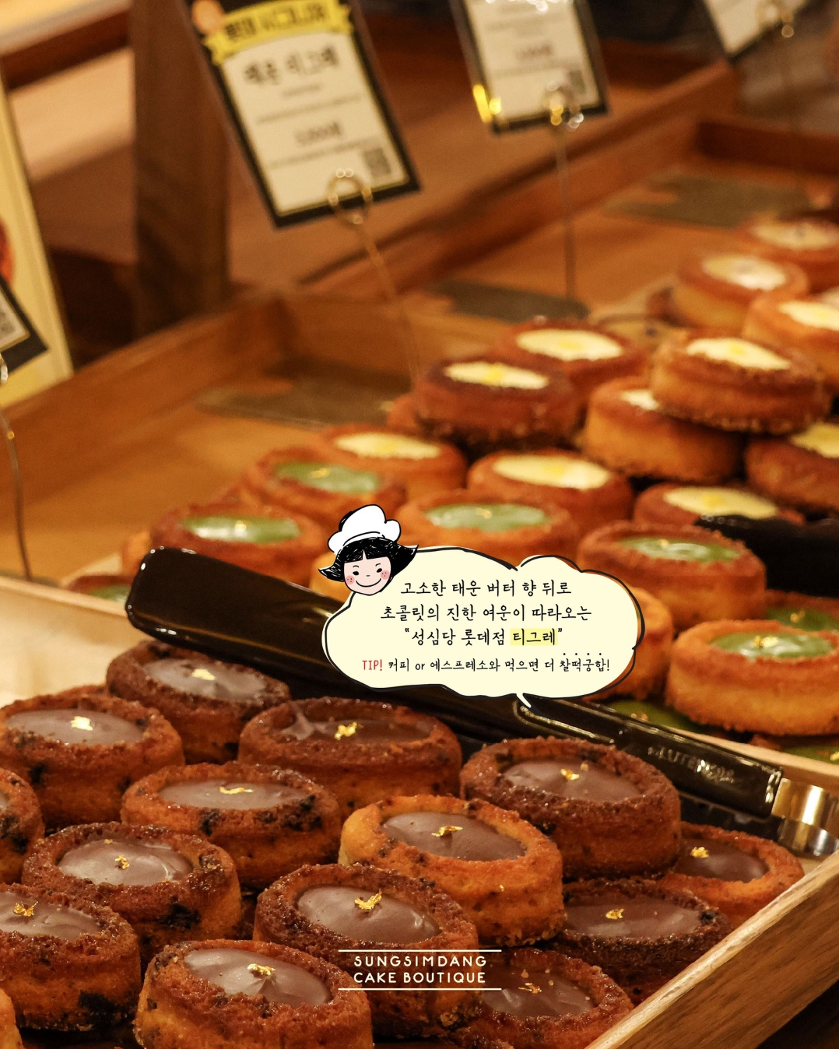 성심당 신상 티그레 시리즈 출시 | 인스티즈