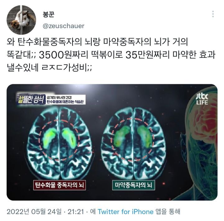 마약 떡볶이는 맞는 말이다.twt | 인스티즈