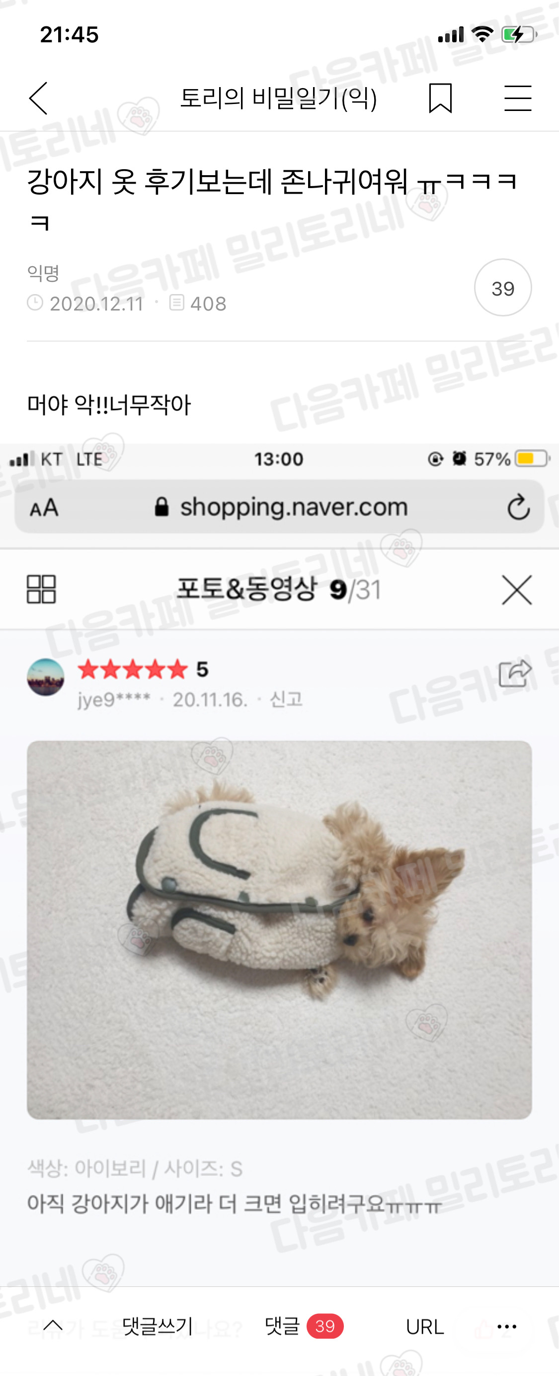 강아지 옷 후기 보는데 존나 귀여워ㅠㅠㅋㅋㅋ | 인스티즈
