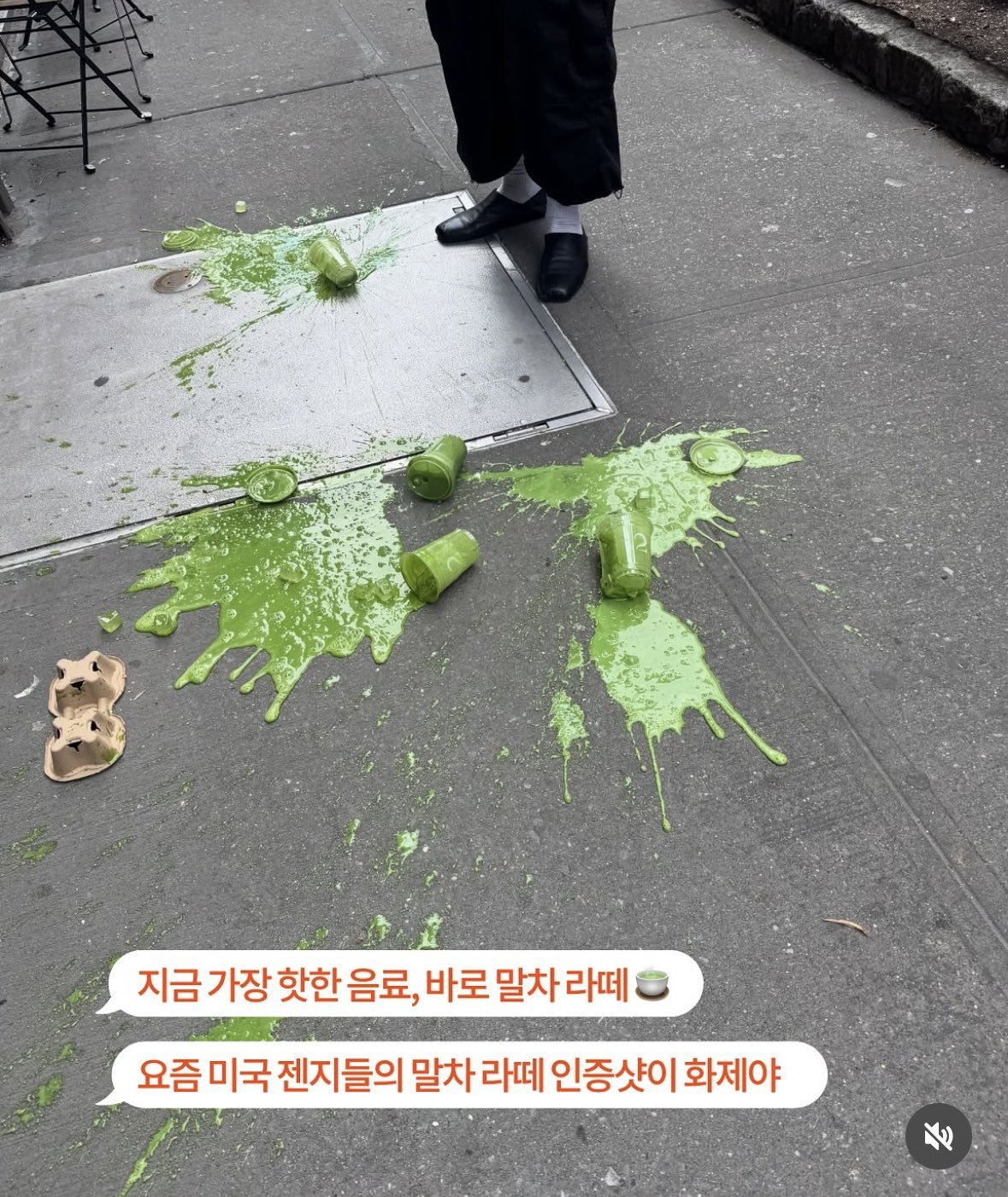 미국에서 유행중인 말차 인증샷 | 인스티즈