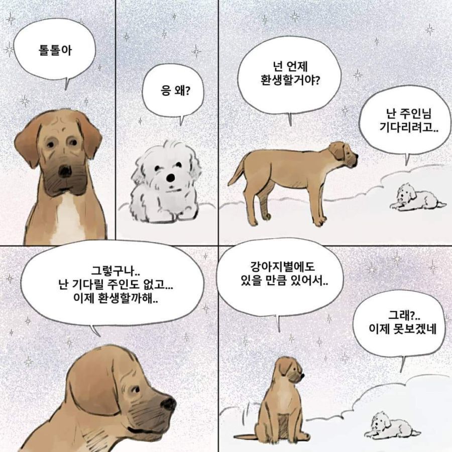 환생하려는 강아지 | 인스티즈