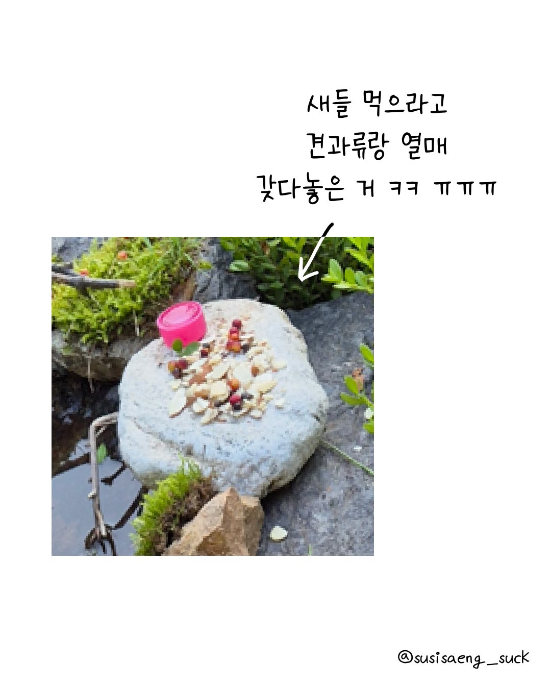 항상 물이 고여있는 공원의 돌.twt | 인스티즈