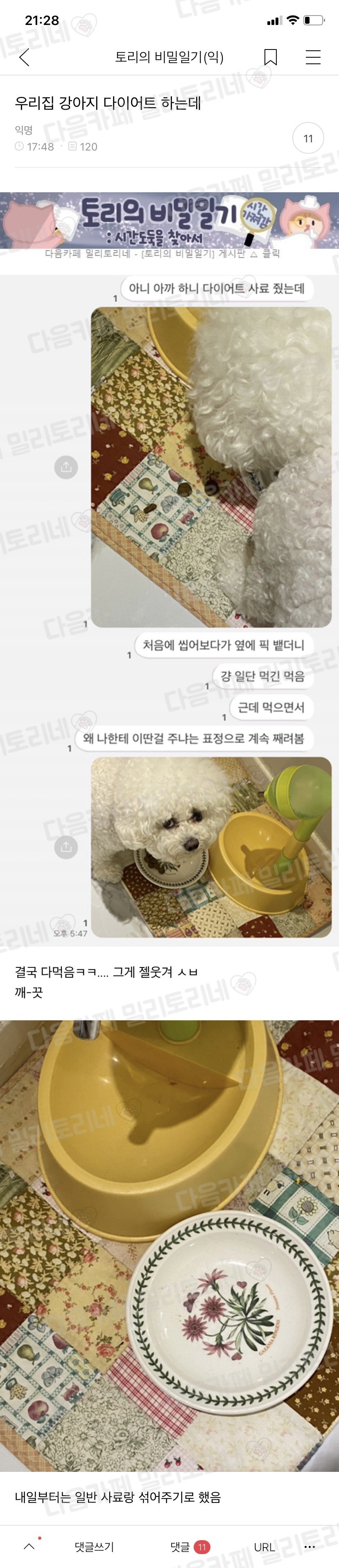 우리집 강아지 다이어트 하는데 | 인스티즈