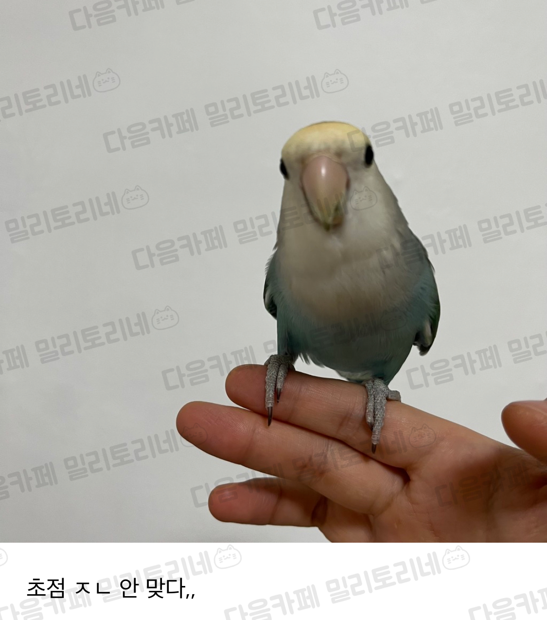 나 무시 당하는 거 맞지 | 인스티즈