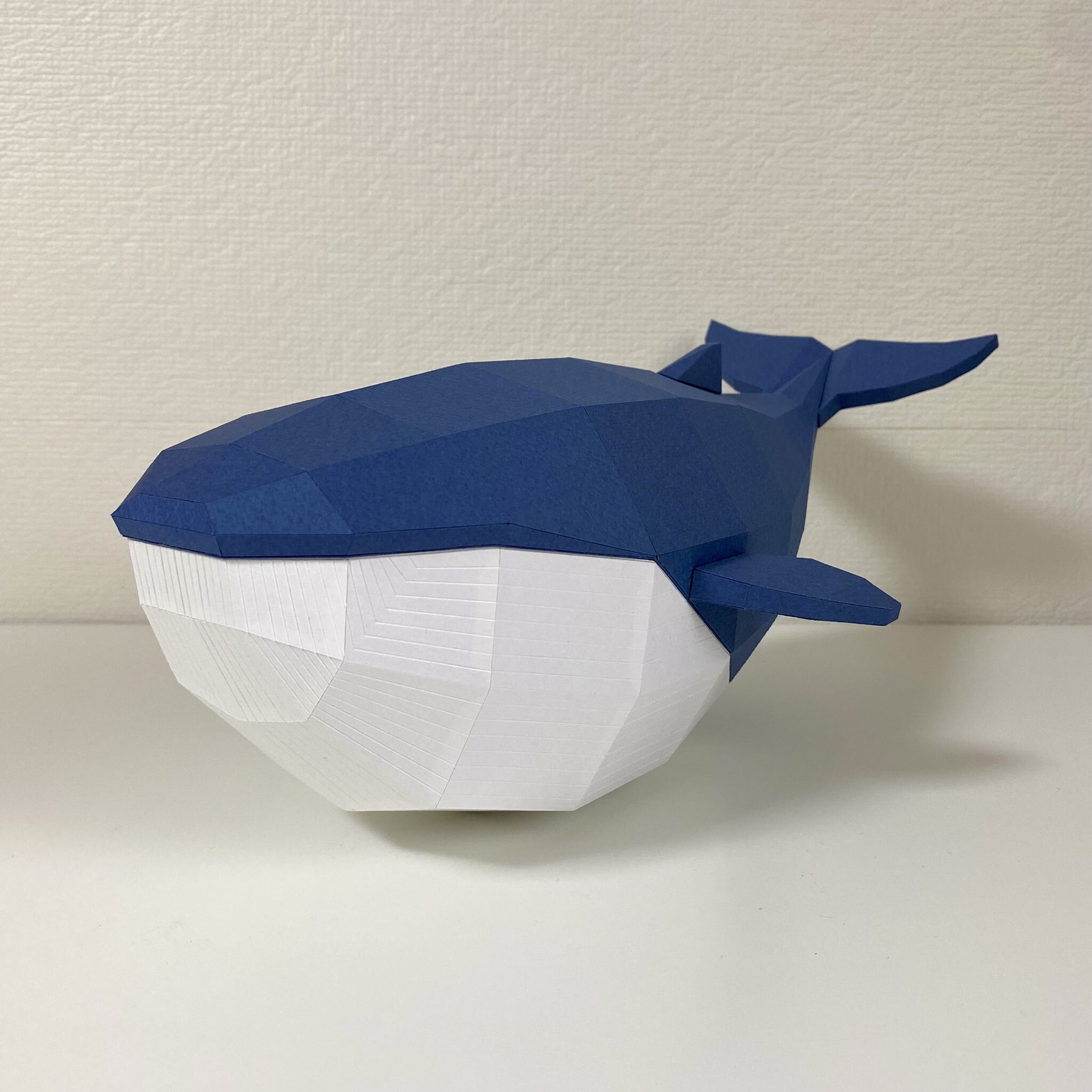 우영우 고래 cg의 비밀 | 인스티즈