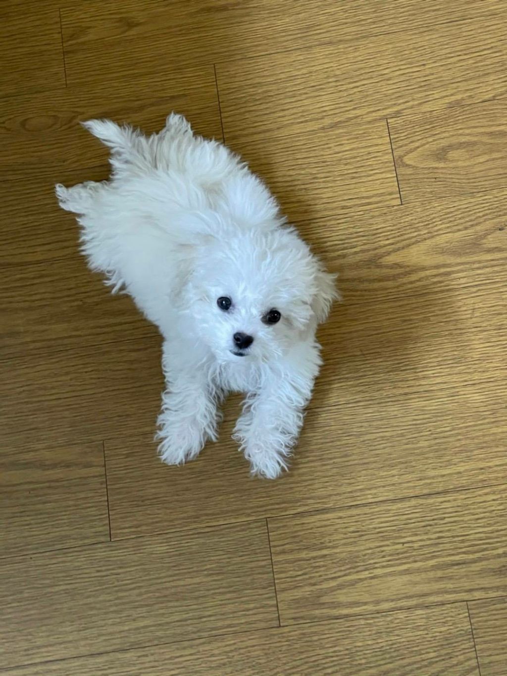 대갈집 이미지