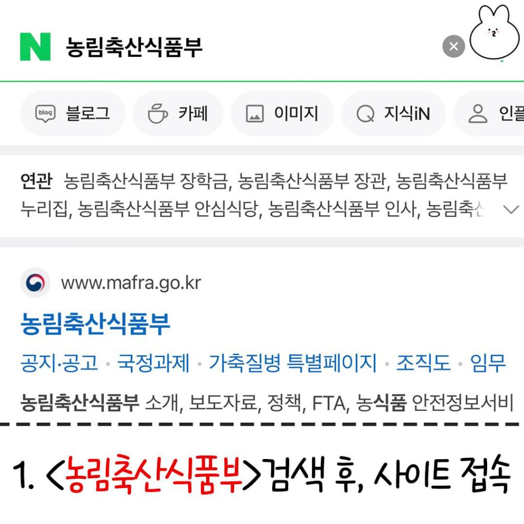 동물병원 호구 안 당하는 꿀팁 | 인스티즈
