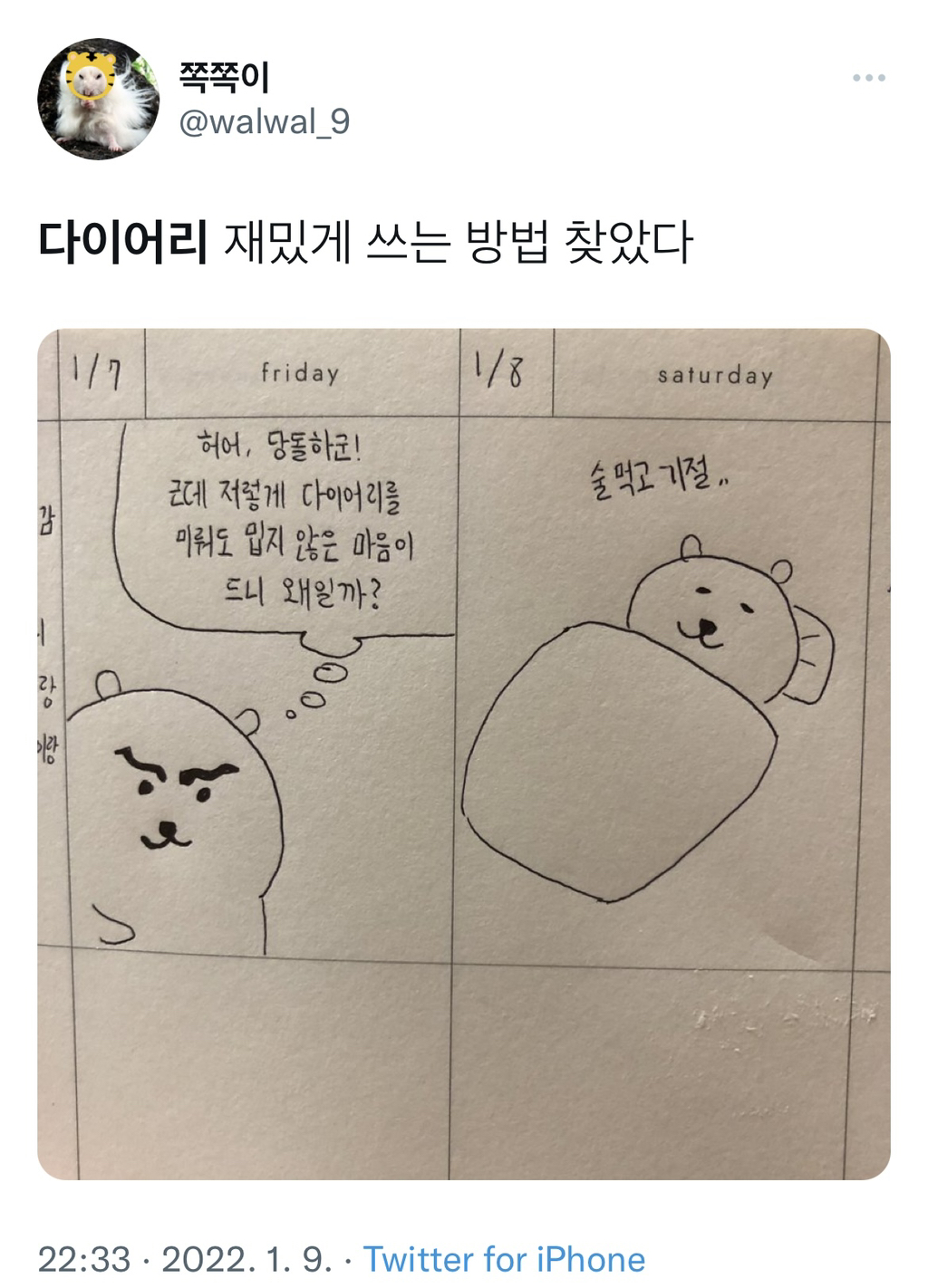 1월부터 얼레벌레 다이어리 쓰는 사람들 모임.twt | 인스티즈