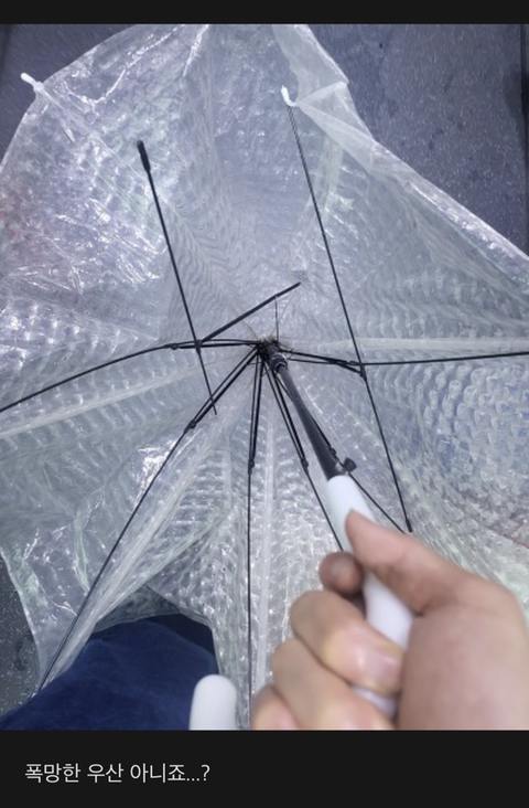 폭우 속 정세운 근황 | 인스티즈